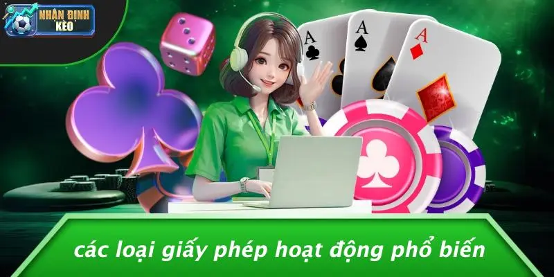 Các Loại Giấy Phép Hoạt Động Phổ Biến