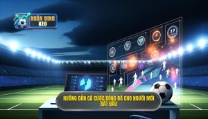 Hướng dẫn cá cược bóng đá cho người mới bắt đầu