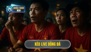 thumb - kèo live bóng đá
