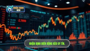Nhận định biến động kèo